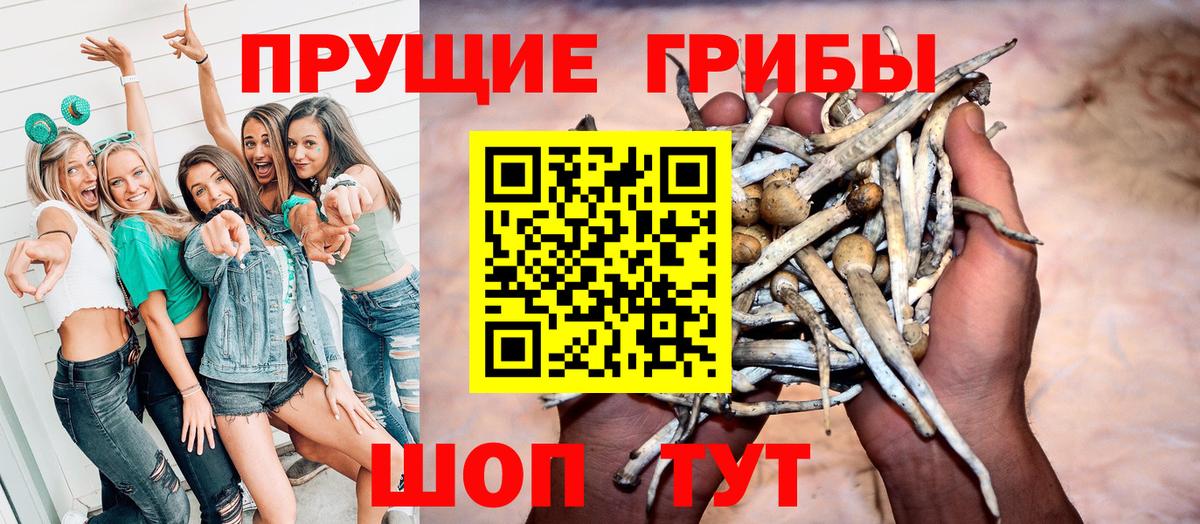 Алейск  где можно купить наркотик  Вход с VPN  Псилоцибиновые грибы Magic Shrooms 